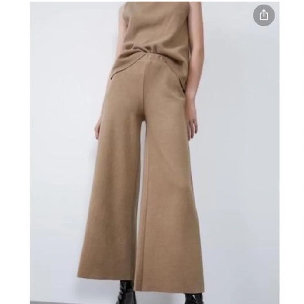 Zara Tan Wide Leg Pants - Picture 1 of 13
